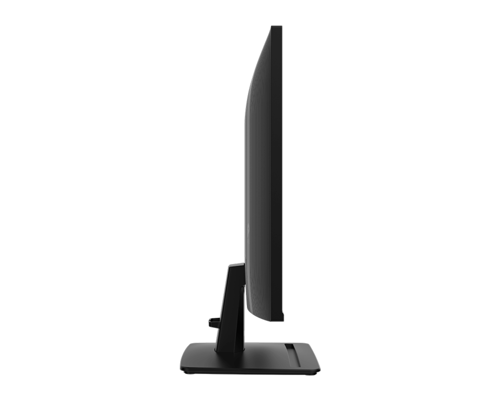 MSI PRO MP251 E2 Business Monitor