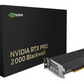 NVIDIA RTX PRO 2000 Blackwell 16GB GDDR7 ECC - (LP)