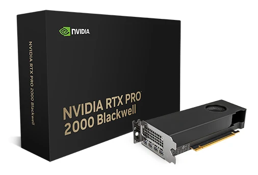 NVIDIA RTX PRO 2000 Blackwell 16GB GDDR7 ECC - (LP)