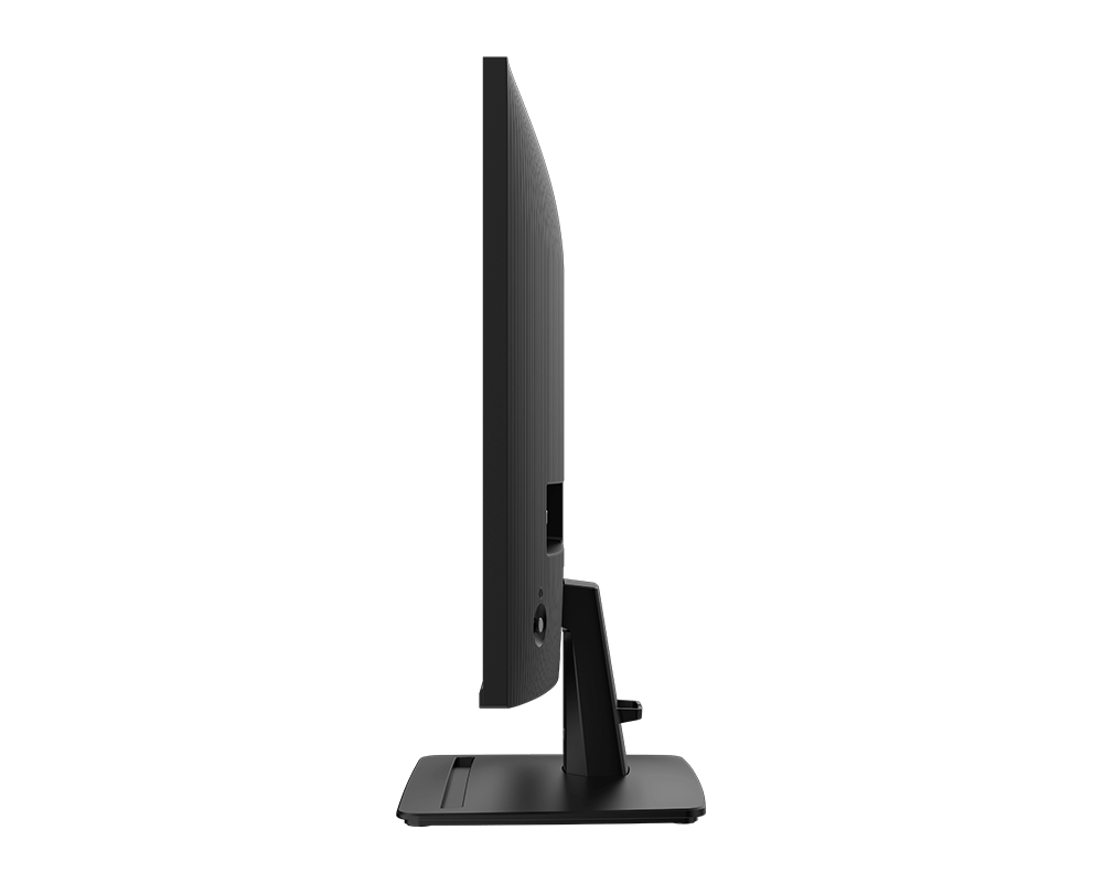 MSI PRO MP251 E2 Business Monitor